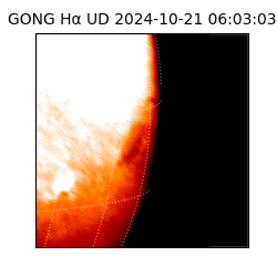 gong - 2024-10-21T06:03:03