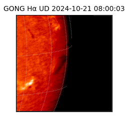 gong - 2024-10-21T08:00:03