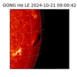 gong - 2024-10-21T09:00:42