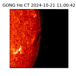 gong - 2024-10-21T11:00:42