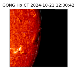 gong - 2024-10-21T12:00:42