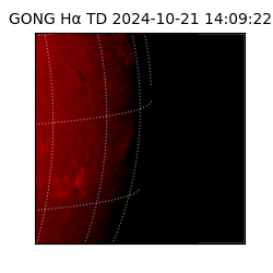 gong - 2024-10-21T14:09:22