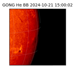 gong - 2024-10-21T15:00:02