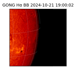 gong - 2024-10-21T19:00:02