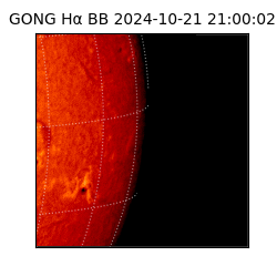 gong - 2024-10-21T21:00:02