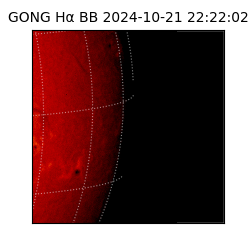 gong - 2024-10-21T22:22:02