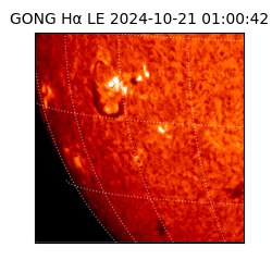 gong - 2024-10-21T01:00:42