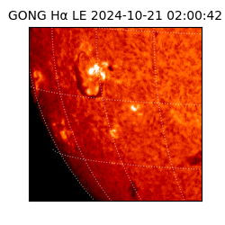 gong - 2024-10-21T02:00:42