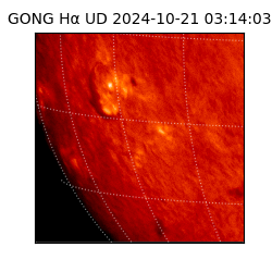 gong - 2024-10-21T03:14:03