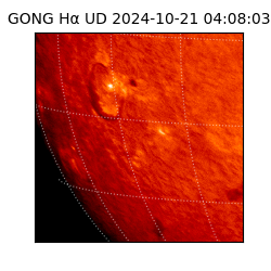 gong - 2024-10-21T04:08:03