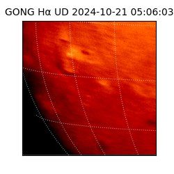 gong - 2024-10-21T05:06:03