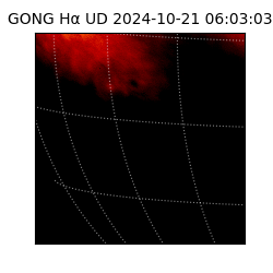 gong - 2024-10-21T06:03:03