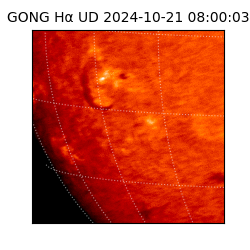 gong - 2024-10-21T08:00:03