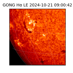 gong - 2024-10-21T09:00:42