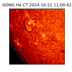 gong - 2024-10-21T11:00:42