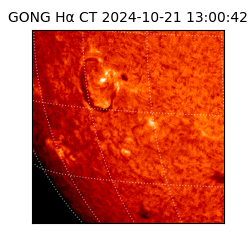 gong - 2024-10-21T13:00:42