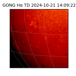 gong - 2024-10-21T14:09:22