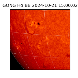 gong - 2024-10-21T15:00:02