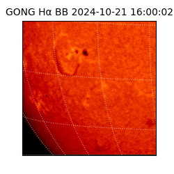 gong - 2024-10-21T16:00:02