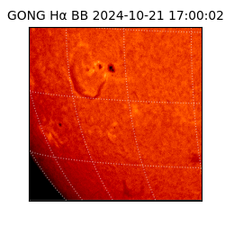 gong - 2024-10-21T17:00:02