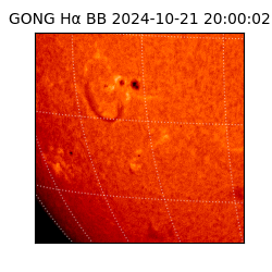 gong - 2024-10-21T20:00:02