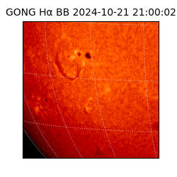 gong - 2024-10-21T21:00:02