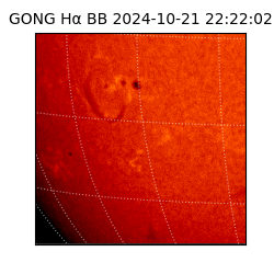 gong - 2024-10-21T22:22:02