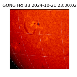 gong - 2024-10-21T23:00:02