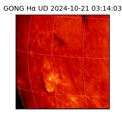 gong - 2024-10-21T03:14:03