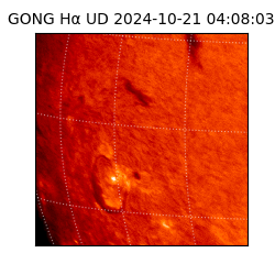 gong - 2024-10-21T04:08:03