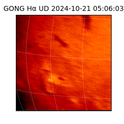 gong - 2024-10-21T05:06:03