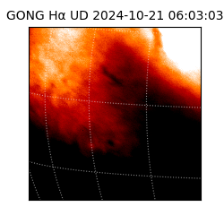 gong - 2024-10-21T06:03:03