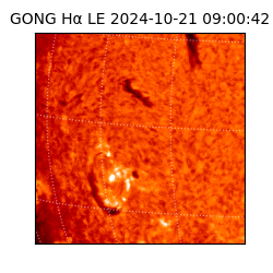 gong - 2024-10-21T09:00:42