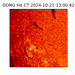 gong - 2024-10-21T13:00:42