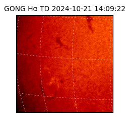 gong - 2024-10-21T14:09:22