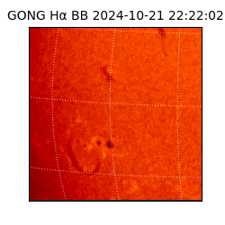 gong - 2024-10-21T22:22:02