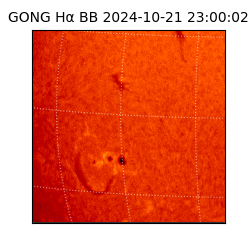 gong - 2024-10-21T23:00:02