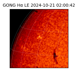 gong - 2024-10-21T02:00:42