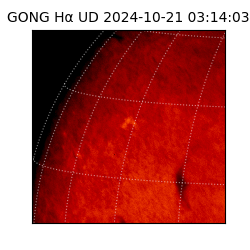 gong - 2024-10-21T03:14:03