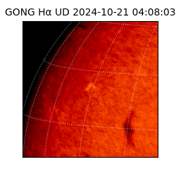 gong - 2024-10-21T04:08:03