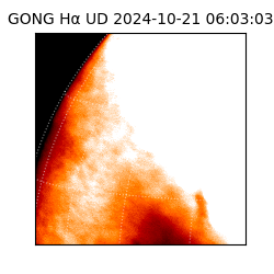 gong - 2024-10-21T06:03:03