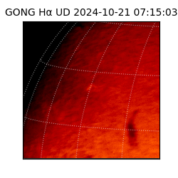 gong - 2024-10-21T07:15:03