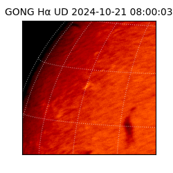 gong - 2024-10-21T08:00:03