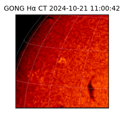 gong - 2024-10-21T11:00:42