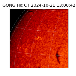 gong - 2024-10-21T13:00:42