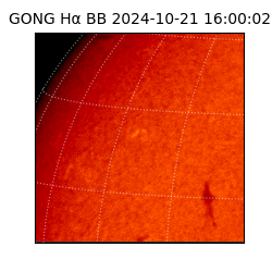 gong - 2024-10-21T16:00:02