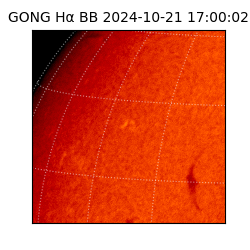 gong - 2024-10-21T17:00:02