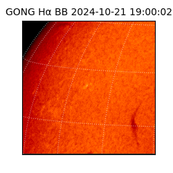 gong - 2024-10-21T19:00:02