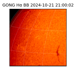 gong - 2024-10-21T21:00:02