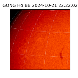 gong - 2024-10-21T22:22:02